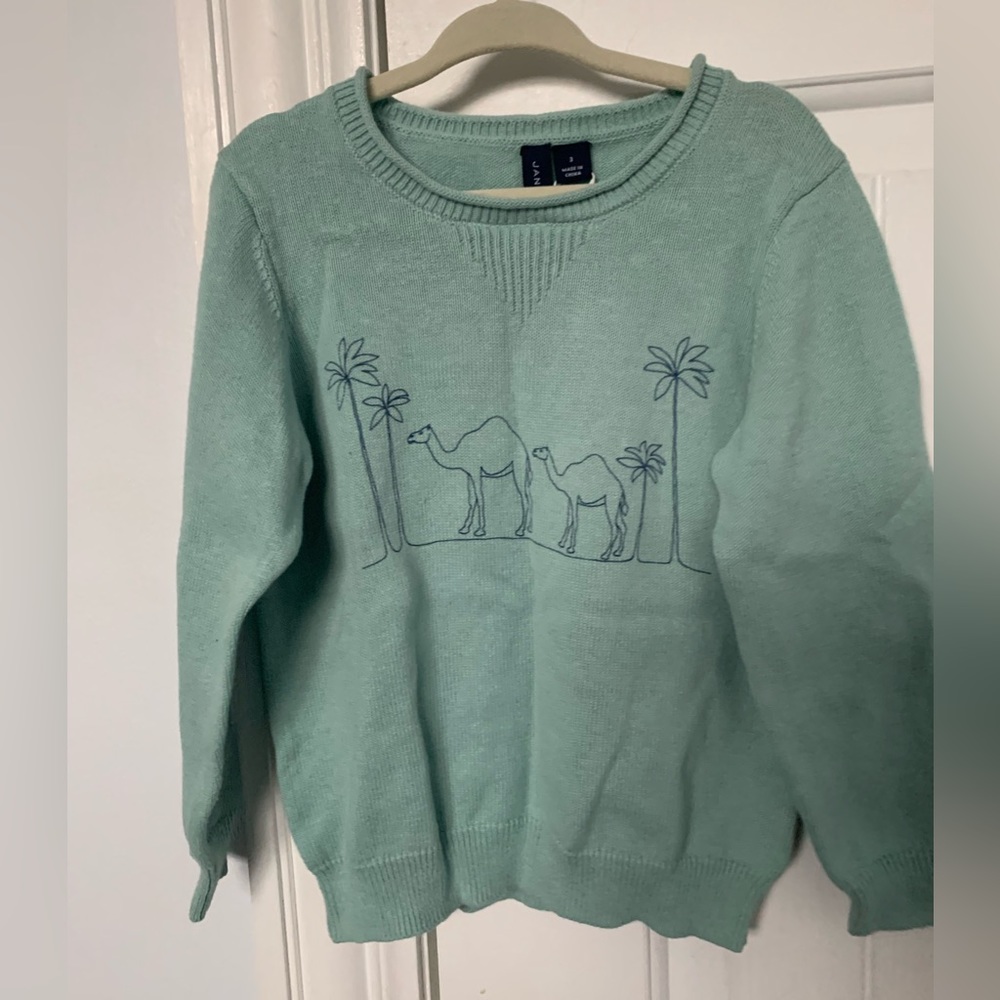 Janie and Jack seafoam color sweater